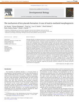 The Mechanism of Lens Placode Formation: a Case of Matrix-Mediated Morphogenesis