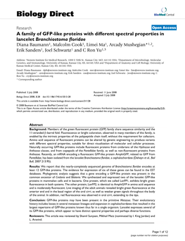 A Family of GFP-Like Proteins with Different Spectral Properties In