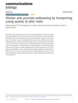 Worker Ants Promote Outbreeding by Transporting Young Queens to Alien