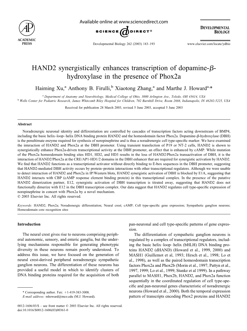 HAND2 Synergistically Enhances Transcription of Dopamine-ß