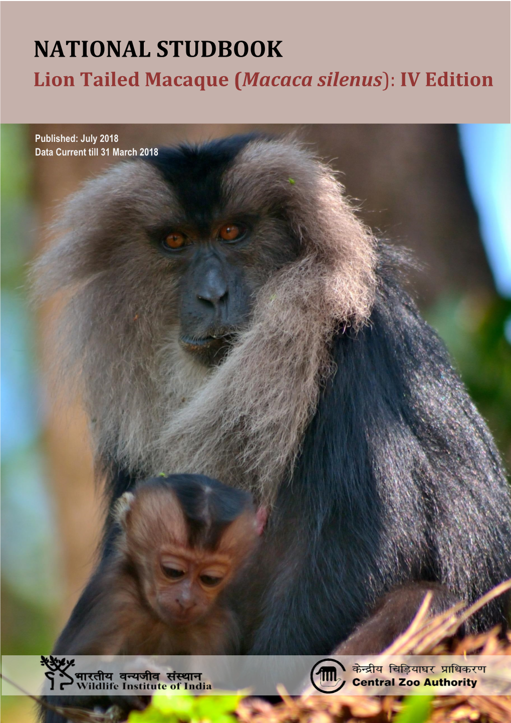 National Studbook Lion Tailed Macaque (Macaca Silenus) IV Edition
