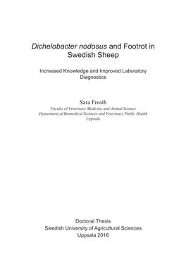 Dichelobacter Nodosus and Footrot in Swedish Sheep