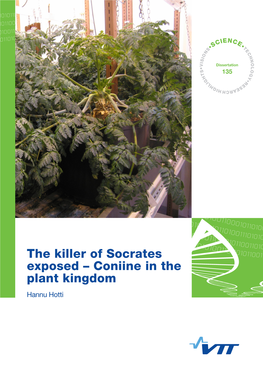 The Killer of Socrates Exposed – Coniine in the Plant Kingdom