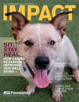 Sit. Stay. Heal. How Canine Research Making News Childhood Improves Obesity 14 Our Well- Being 10 Insider View World’S Largest Type Collection 8