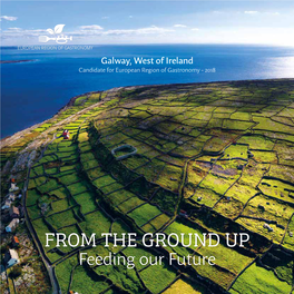 From the Ground up – Feeding Our Future Bid Book
