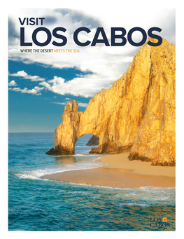 Visit to Los Cabos Or You’Re Be Hard-Pressed to Find a Reason to Leave