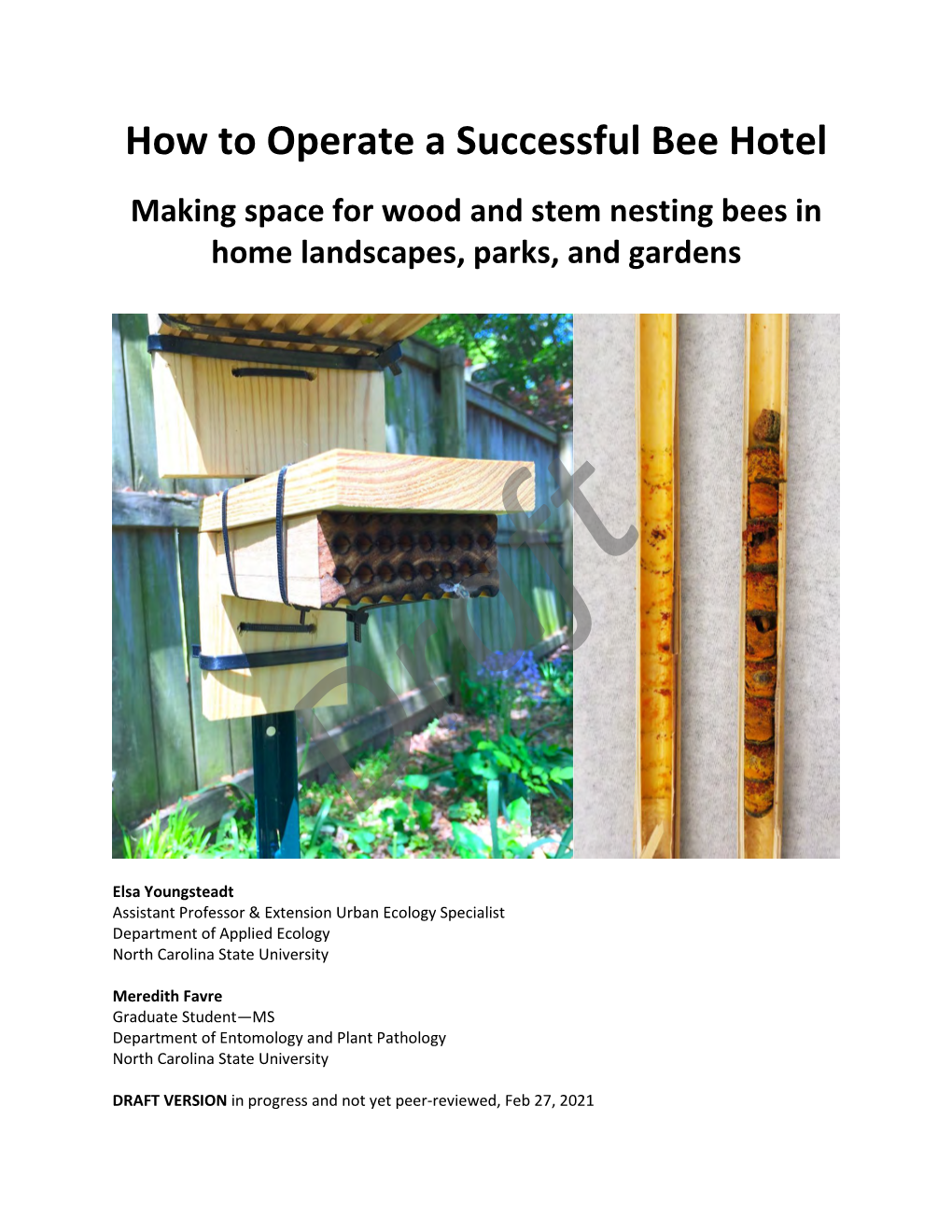 How to Operate a Successful Bee Hotel