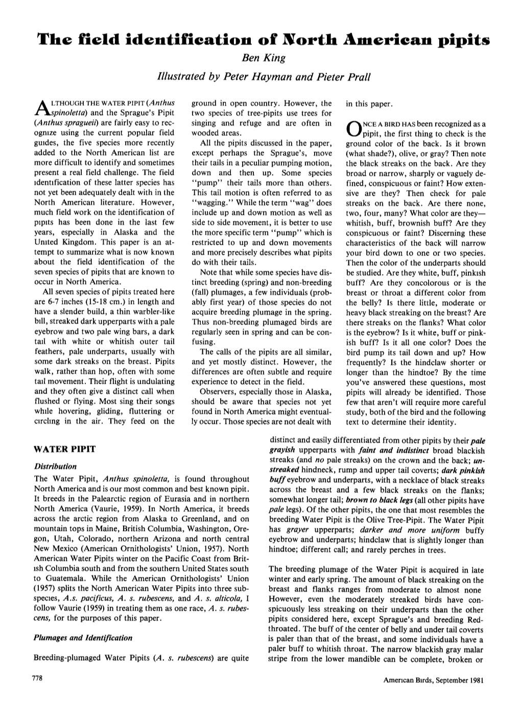 The Field Identification of North American Pipits Ben King Illustrated by Peter Hayman and Pieter Prall