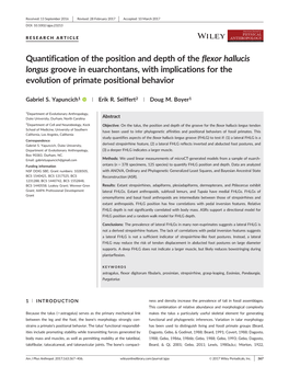Quantification of the Position and Depth of the Flexor Hallucis Longus Groove in Euarchontans, with Implications for the Evolution of Primate Positional Behavior