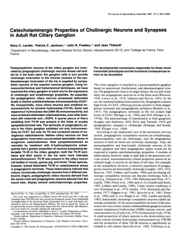 Catecholaminergic Properties of Cholinergic Neurons and Synapses in Adult Rat Ciliary Ganglion