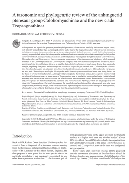 A Taxonomic and Phylogenetic Review of the Anhanguerid Pterosaur Group Coloborhynchinae and the New Clade Tropeognathinae