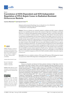 Coexistence of SOS-Dependent and SOS-Independent Regulation of DNA Repair Genes in Radiation-Resistant Deinococcus Bacteria