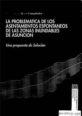 La Problemática De Los Asentamientos Espontáneos De Las Zonas Inundables De Asuncion