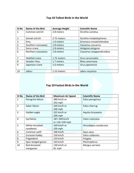 List of Birds- Tallest, Fastest, Largest, Smallest