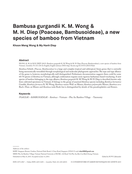 Bambusa Gurgandii, a New Species of Bamboo