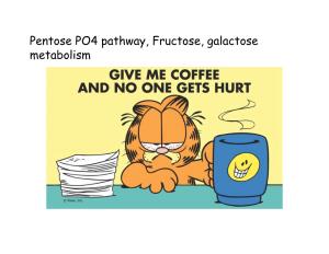 Pentose PO4 Pathway, Fructose, Galactose Metabolism.Pptx