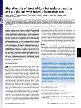 High Diversity of West African Bat Malaria Parasites and a Tight Link with Rodent Plasmodium Taxa