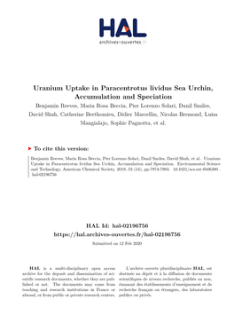 Uranium Uptake in Paracentrotus Lividus Sea Urchin, Accumulation