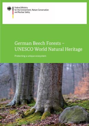 German Beech Forests – UNESCO World Natural Heritage
