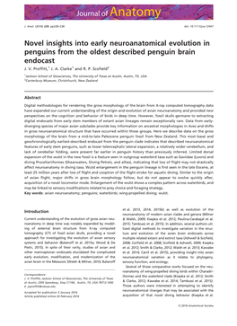 Novel Insights Into Early Neuroanatomical Evolution in Penguins from the Oldest Described Penguin Brain Endocast J