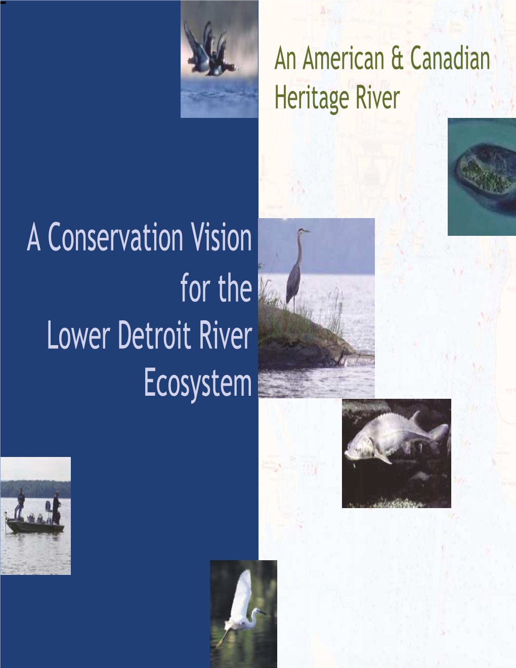 A Conservation Vision for the Lower Detroit River Ecosystem We Are Proud to Present This Binational Conservation Vision for the Lower Detroit River Ecosystem