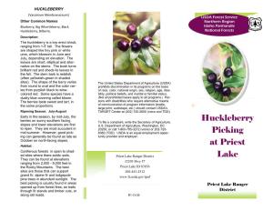 Huckleberry Picking at Priest Lake