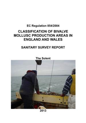 SANITARY SURVEY REPORT the Solent 2013