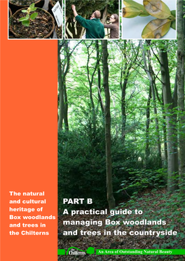 A Practical Guide to Managing Box Woodlands and Trees in the Countryside