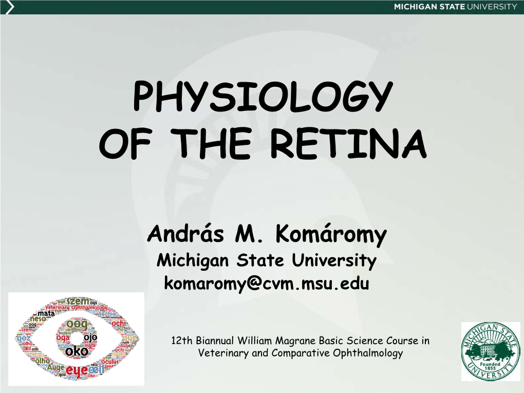 Physiology of the Retina