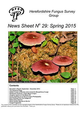 News Sheet N 29: Spring 2015