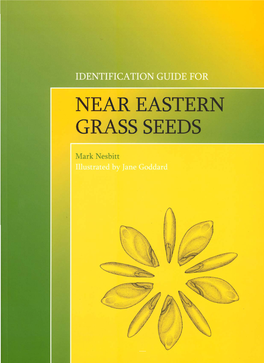 Near Eastern Grass Seeds