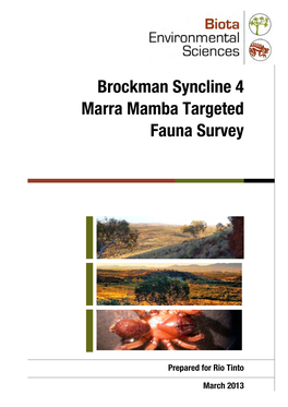 BS4 Marra Mamba Targeted Fauna Survey V2.2.Docx 3