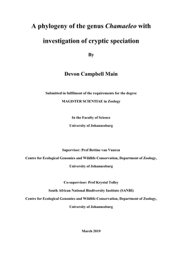 A Phylogeny of the Genus Chamaeleo with Investigation of Cryptic Speciation