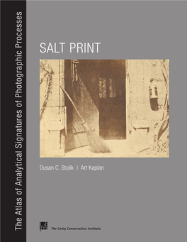 Salt Print Process (Wedgwood Before 1802, Niépce in 1816) but Did Not Provide a Solution for Fixing Or Stabilizing Their Test Images