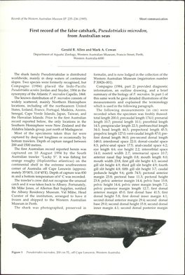 First Record of the False Catshark, Pseudotriakis Microdon, from Australian Seas