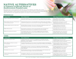 Audubon Native Alternatives Flyer V5
