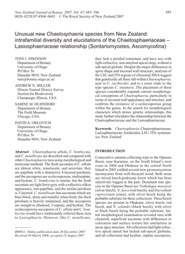 Unusual New Chaetosphaeria Species from New