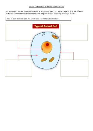 Lesson 1 : Structure of Animal and Plant Cells