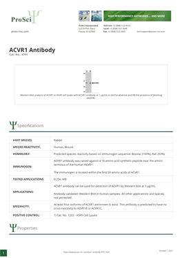 ACVR1 Antibody Cat