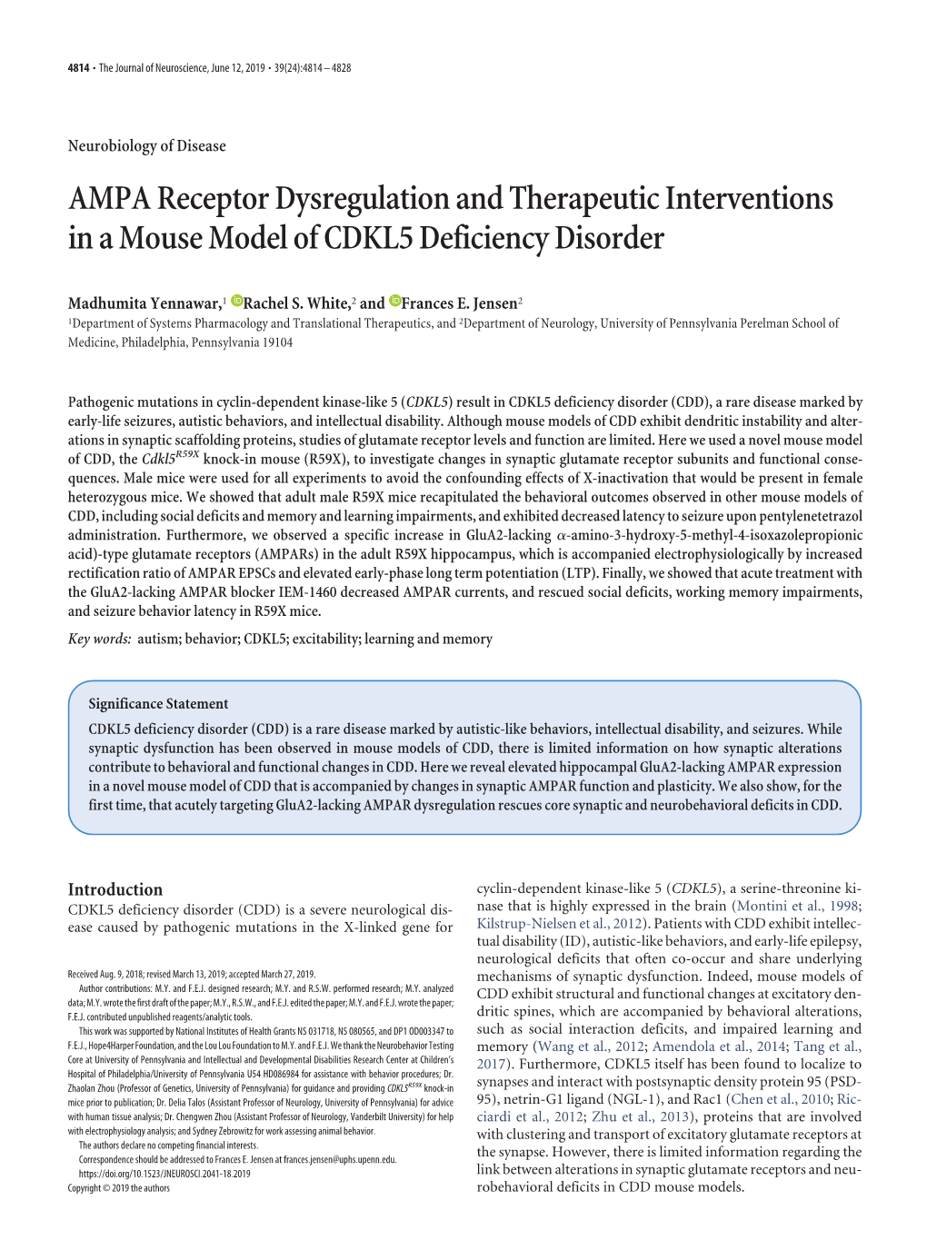 AMPA Receptor Dysregulation and Therapeutic Interventions in a Mouse Model of CDKL5 Deficiency Disorder