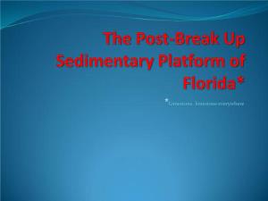 The Post-Break up Sedimentary Platform of Florida*