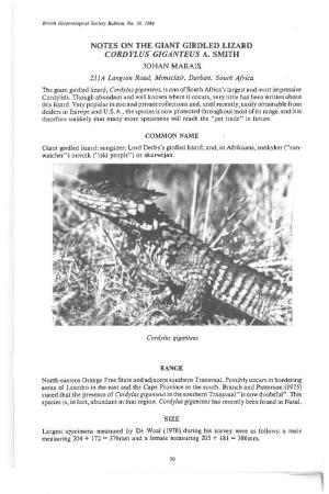 Notes on the Giant Girdled Lizard Cordylus Giganteus A