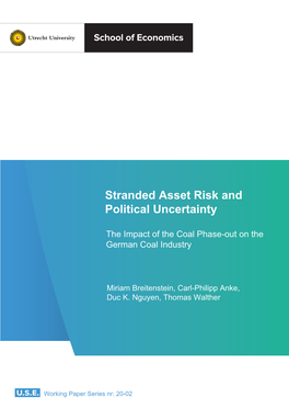 Stranded Asset Risk and Political Uncertainty