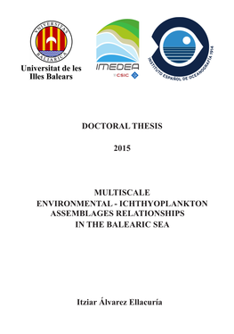 Doctoral Thesis 2015 Multiscale Environmental