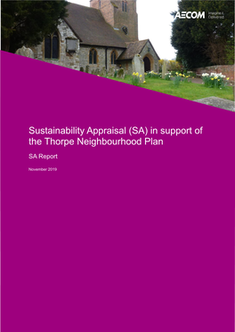 Report Strategic Environmental Assessment (SEA) for the Thorpe Neighbourhood Plan 2019-05-16