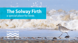 The Solway Firth a Special Place for Birds the Solway Firth Is a Very Special and Important Place We Can All Help By: for Birds