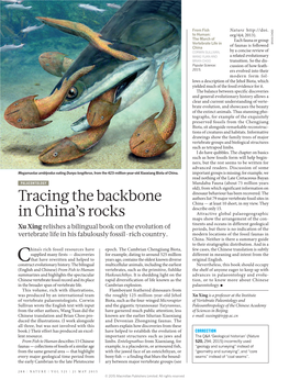Tracing the Backbone in China's Rocks