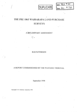 The Pre 1865 Wairarapa Land Purchase Surveys