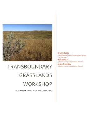 Grasslands! Workshop!