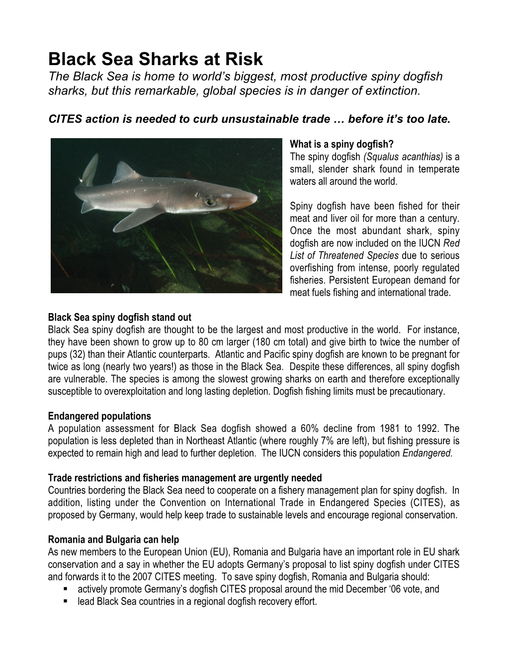 Black Sea Sharks at Risk